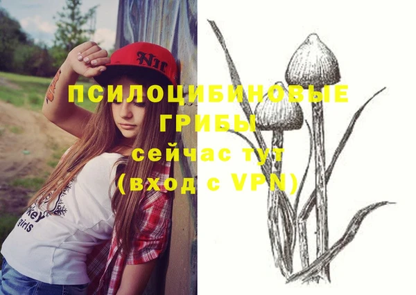 бутират Аркадак
